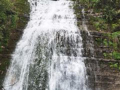 -鹿院坪生态旅游景区