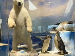 -国家自然博物馆