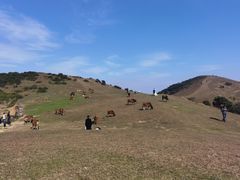 -大姆山草场