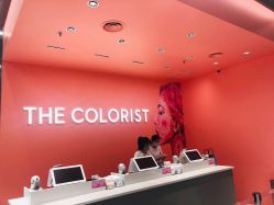 -THE COLORIST调色师