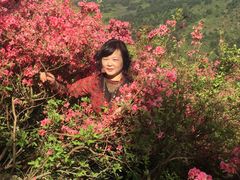 -木兰云雾山