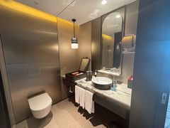 -新加坡瑞士史丹福酒店