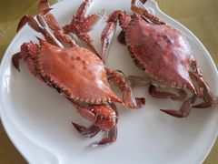 -天桥饭店·特色海鲜(金山嘴渔村店)