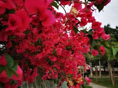 -石梅湾艾美度假酒店