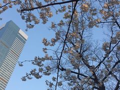 -麦当劳(无锡永乐店)