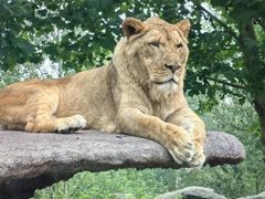 -北京野生动物园