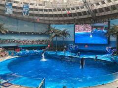 -海合安成都极地海洋公园