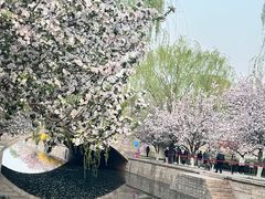 -海棠花溪(元大都城垣遗址公园)