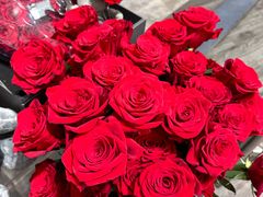 -ROSEONLY诺誓(沈阳万象城店)