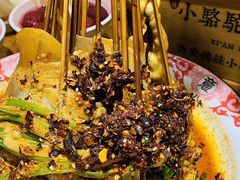 -福苗小骆驼烧烤(莲湖路店)