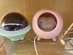 -九木杂物社(中心店)