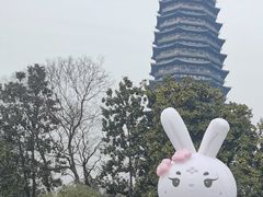 -红梅公园