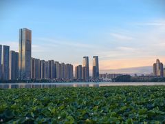-梅溪湖城市岛