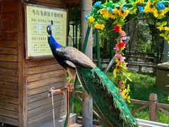 -石家庄市动物园