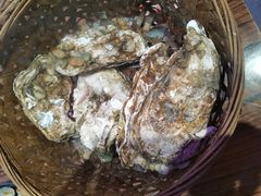 -蚝堡海鲜·威海菜·海肠捞饭·烧烤·亚洲吃蚝公司(幸福门店)