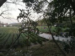 -北高峰