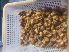 -陶缘一号·四季缘·老字号顺德菜·户外婚礼家宴(西滘店)