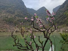 -靖西鹅泉风景区
