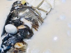 -新东新.融合菜
