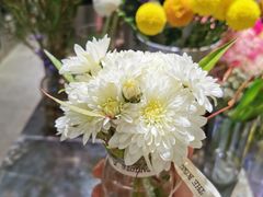 -植物学家的女儿(北马道巷店)