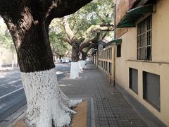 -颐和路民国时期公馆风貌区