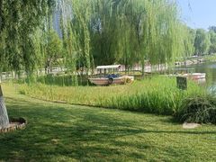 -西海子公园