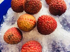 -四季民福烤鸭店(东四十条店)