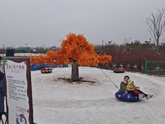 -绿野森林乐园冰雪季