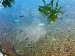 -塞班肯辛顿酒店Kensington Hotel Saipan