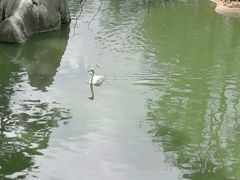 -昆明动物园