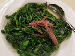 上汤豆苗-镛记酒家