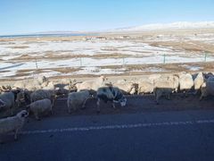 -青海湖国家重点风景名胜区