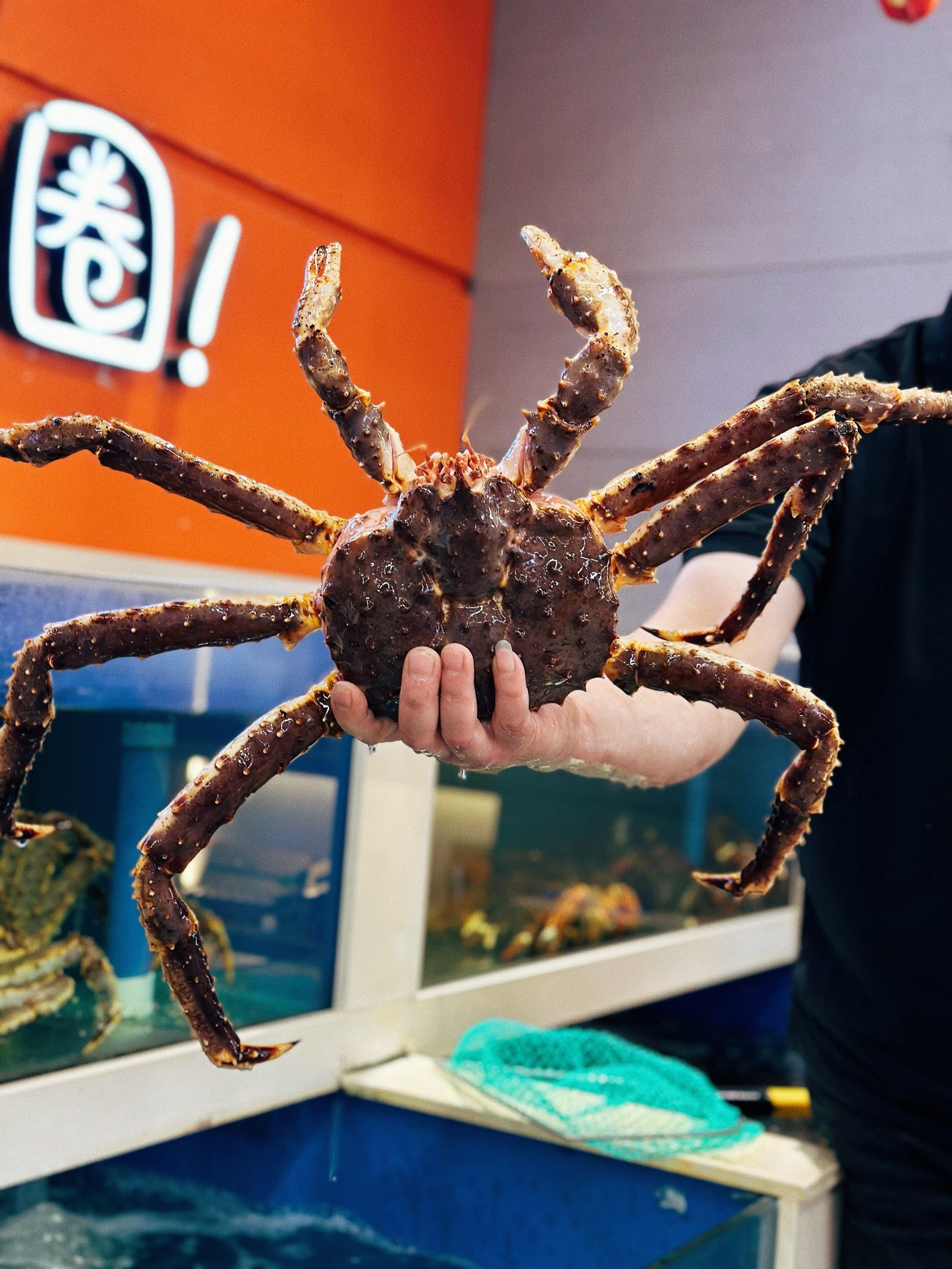 大螃蟹的魅力诱惑