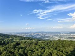 -铁山坪森林公园