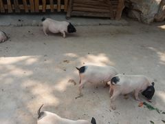 -快活林烧烤(红新路店)