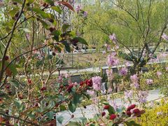 -元大都城垣遗址公园