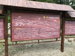 -牛背梁国家森林公园