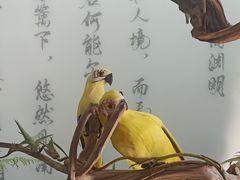 -无锡梅园公园