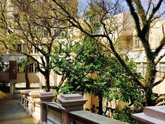-香港大学