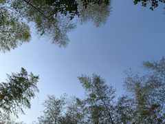 -小格里自然风景区