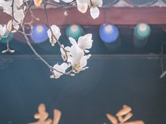 -万寿八仙宫