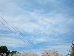 -诺贝尔湖公园