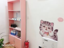 -Lab Season惜辰颜究社