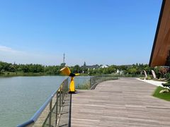 -上海长兴岛郊野公园