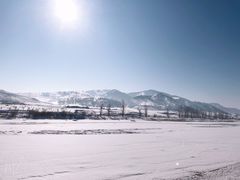 -江心岛