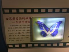 -上海昆虫博物馆