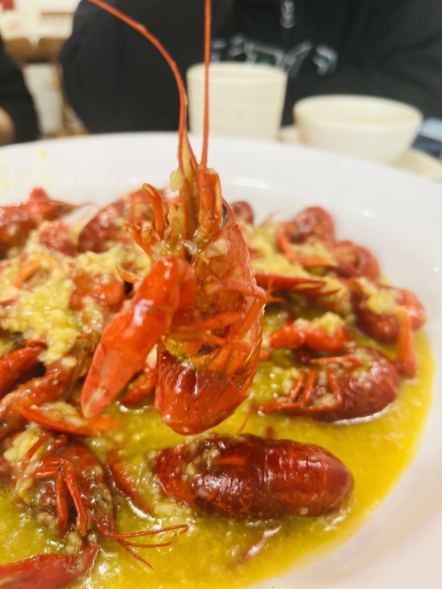 今年的第一顿龙虾必须是朱小乐龙虾