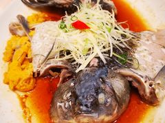 清蒸鲫鱼-聚福宝合苑食府(南头镇店)