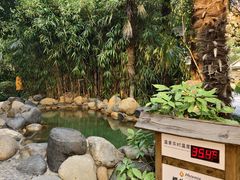 -张家港金凤凰度假村温泉