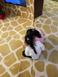 -卡通尼·Safari非洲探索乐园·生日会(金桥国际商业广场店)